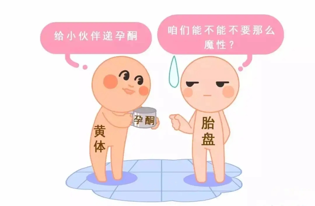 HCG和孕酮低一定會(huì)流產(chǎn)？備孕女性必須知道的孕早期“秘密”